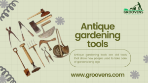 Read more about the article Antique gardening tools – Charming 2024