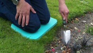 Gardening tools for old people