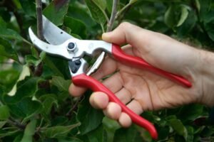 Gardening tools for old people