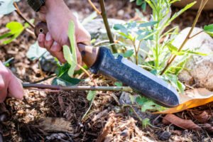 Gardening tools for old people