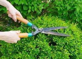 Gardening tool box