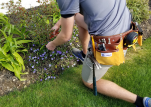 Tool belt for gardening