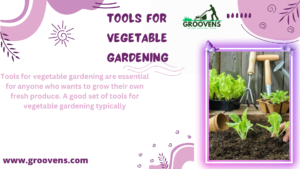 Read more about the article Tools for vegetable gardening – Perfect Tools 2025